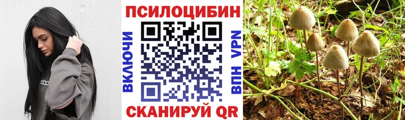 Псилоцибиновые грибы ЛСД  Фролово 