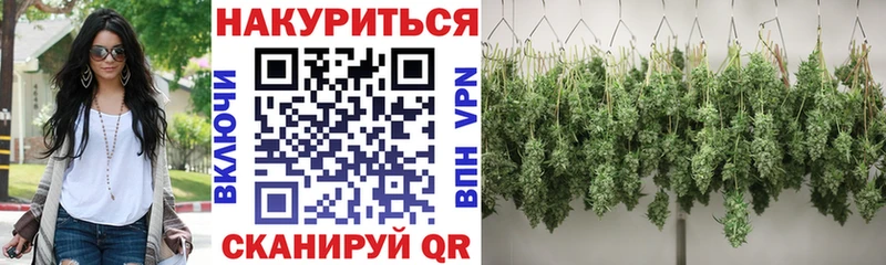 Конопля план  магазин продажи   Фролово 